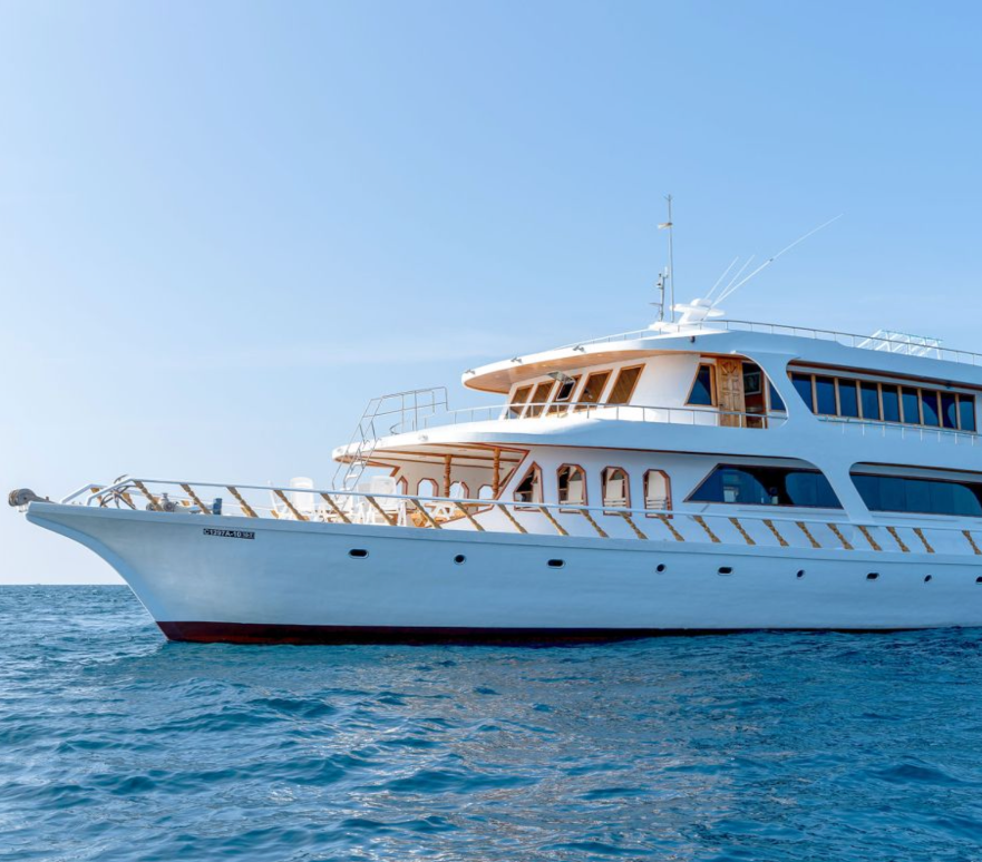 SurfMALDIVESBOATCHARTER